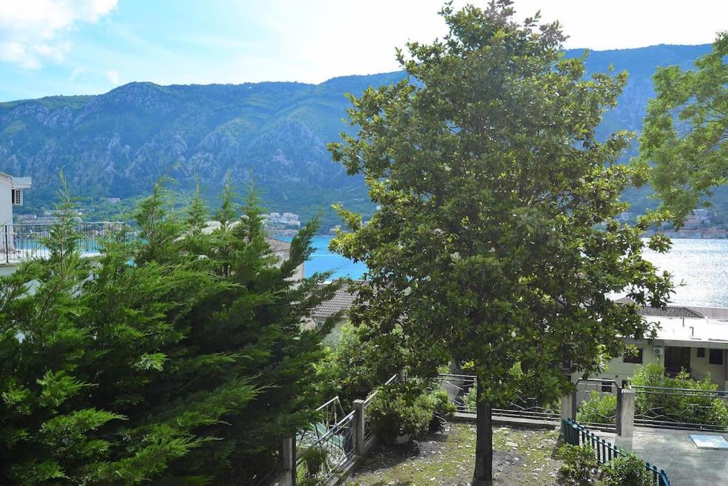 Urban Escape For Two In Kotor 아파트 외부 사진